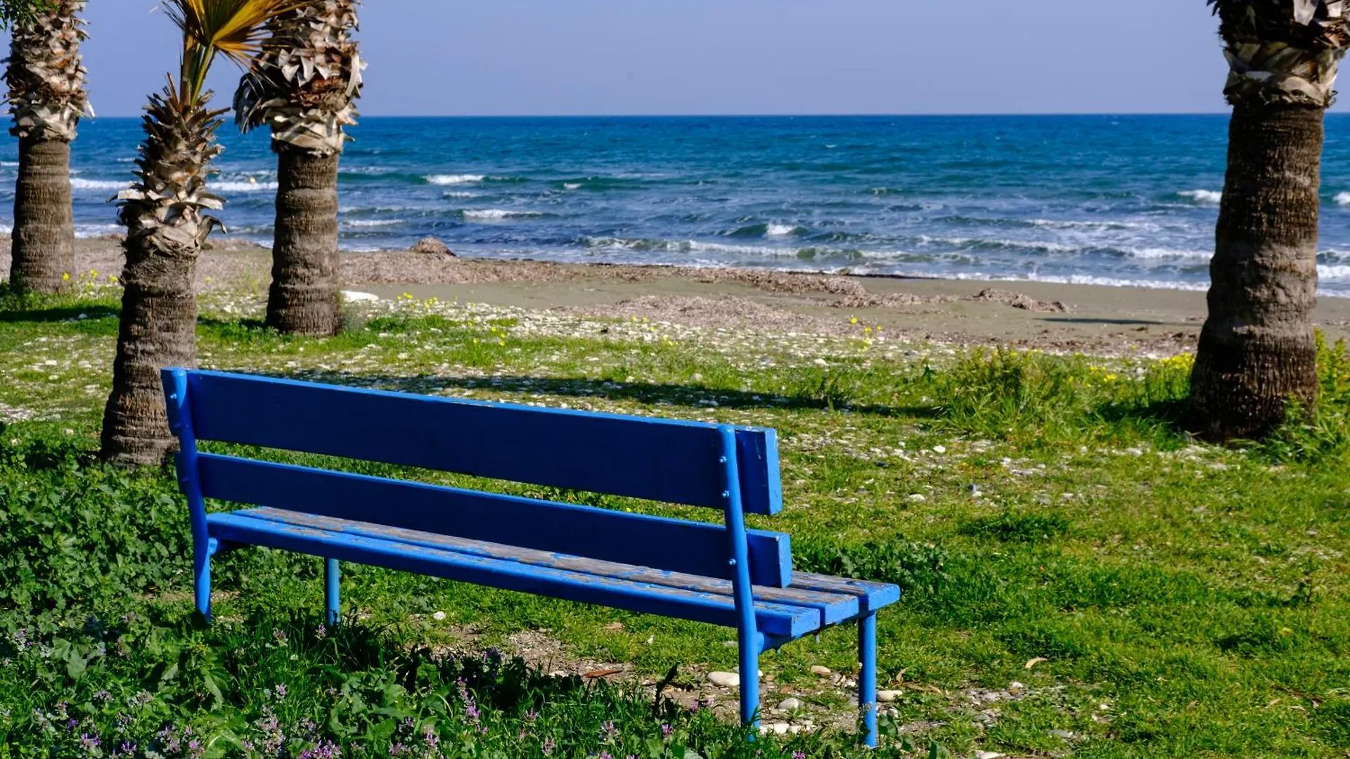 Meneou Demetris Apartment קפריסין